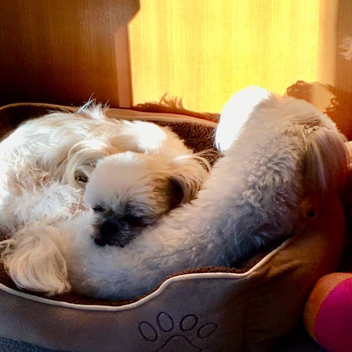 C6ba0c4e 29b5 420d ac83 7d853f7f6681 1636584813040