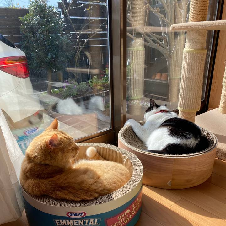 C6ba4fa6 124f 432b 93d4 e8d8a7161dd5 1637462059849