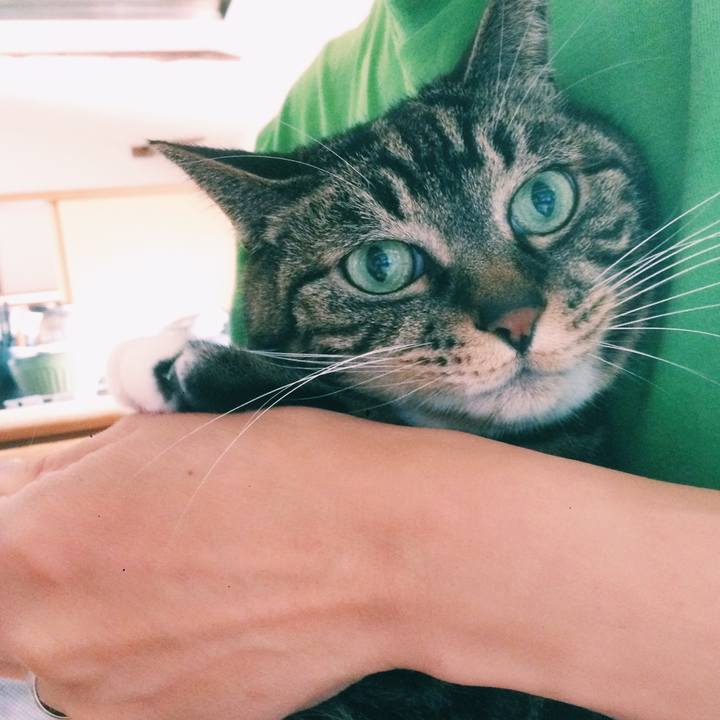 C6ba56fa 6cc9 4b95 8b12 e357bada5656 1588982311008