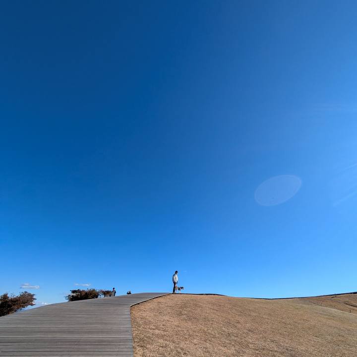 C6ba5c3f 6488 4e6f af85 53ce5caa6d6d 1734619896933