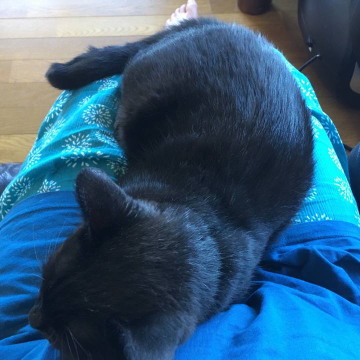 C6bad084 c4fd 4650 b0f0 cbdab071e9cd 1532849431602