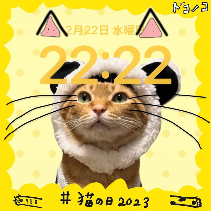 C6bad159 6df2 4060 9879 e4233b2c65b7 1677072247609