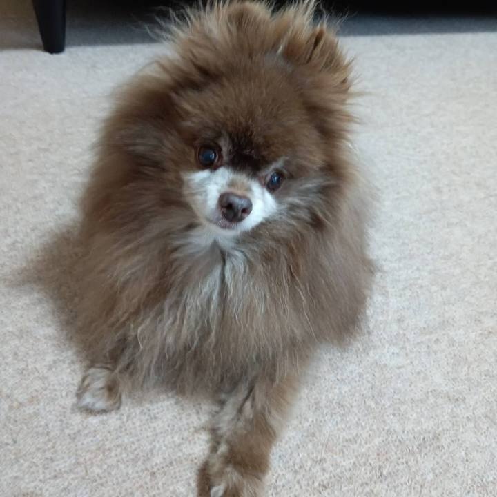 C6bb50ba 3f2a 4535 8226 d084e93ee2d1 1718836461033