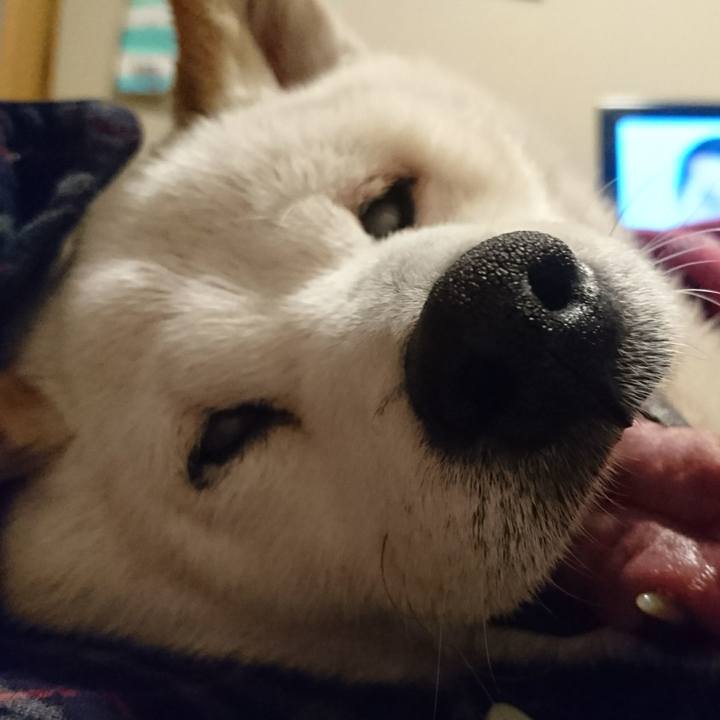 C6bbb4d3 a7cd 4c0c aa69 11b35e39840a 1512825041956