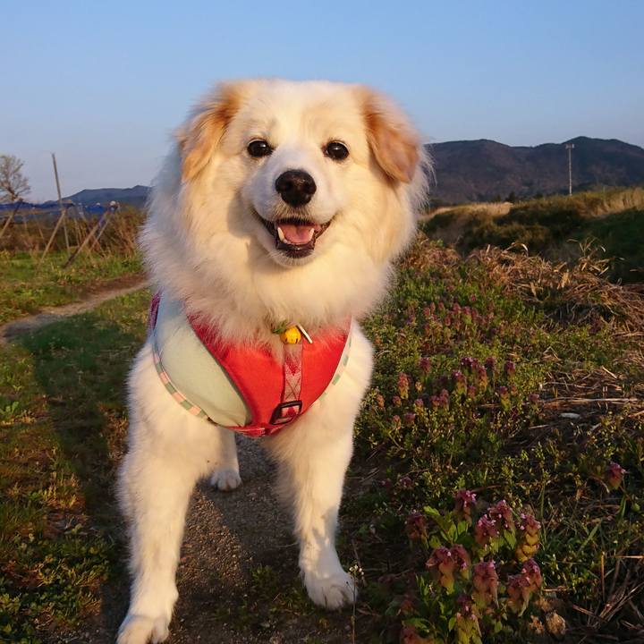 C6bbbc47 4d8b 4c9a 9748 938d585c78f4 1524172742521