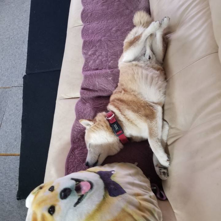 C6bbbe85 da8f 4210 bbab 399497ac58d2 1737418158167