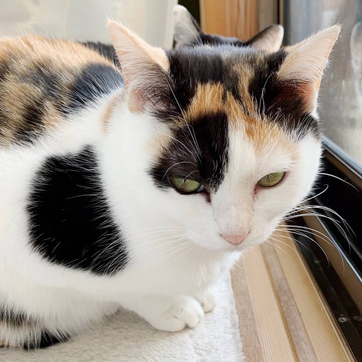 C6bbbee2 a17d 4ed7 983d d13d4dca0315 1552530972013