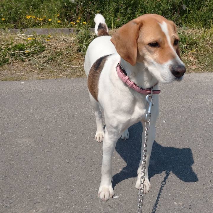 C6bbd0c5 230a 43a8 9b8b 5180e996d34f 1586413056660