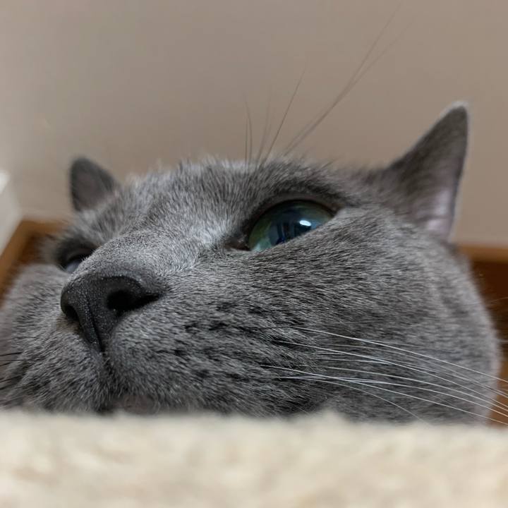 C6bbd176 3098 43b1 91b7 d81eee739dcb 1660202110649