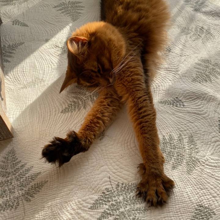 C6bbdc01 0076 40b2 996e 0f24fc38729c 1640669461362