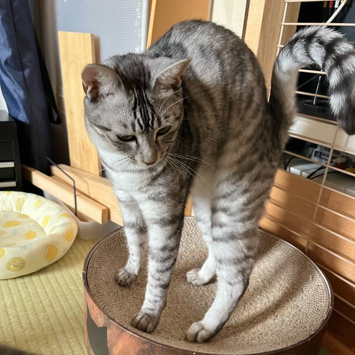 C6bbf25f 599c 441a 942d 14079e70519b 1727332283843