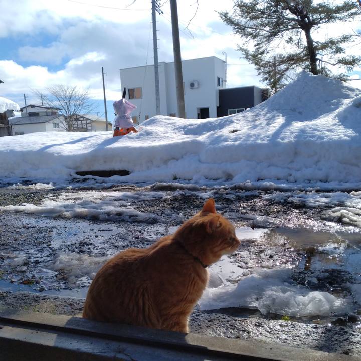 C6bbf334 0189 4ae4 a45b 05b58b326c32 1672108277548