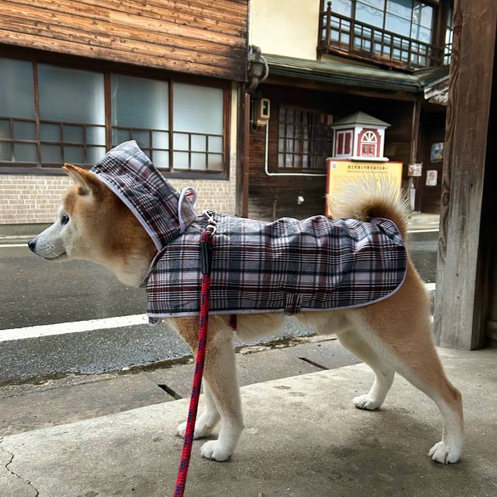 C6bbf5e5 1b89 4aac 9b4b 0b36f7b6d99b 1742128064129