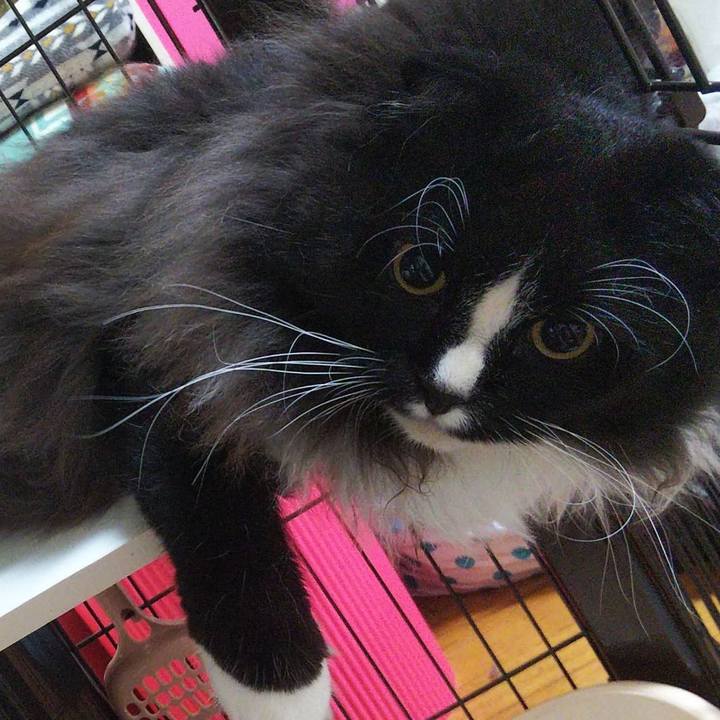 C6bbfd91 68d8 4514 8b23 9c3424c301a2 1663035934044