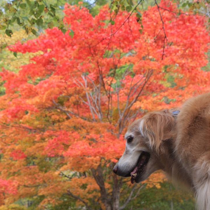 C6bc1ecf 8921 431b 85c5 383c58f47724 1761817529580