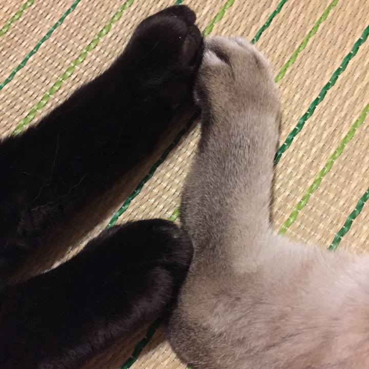 C6bc46df c553 4e06 87f8 894b9f7502bc 1533295452357