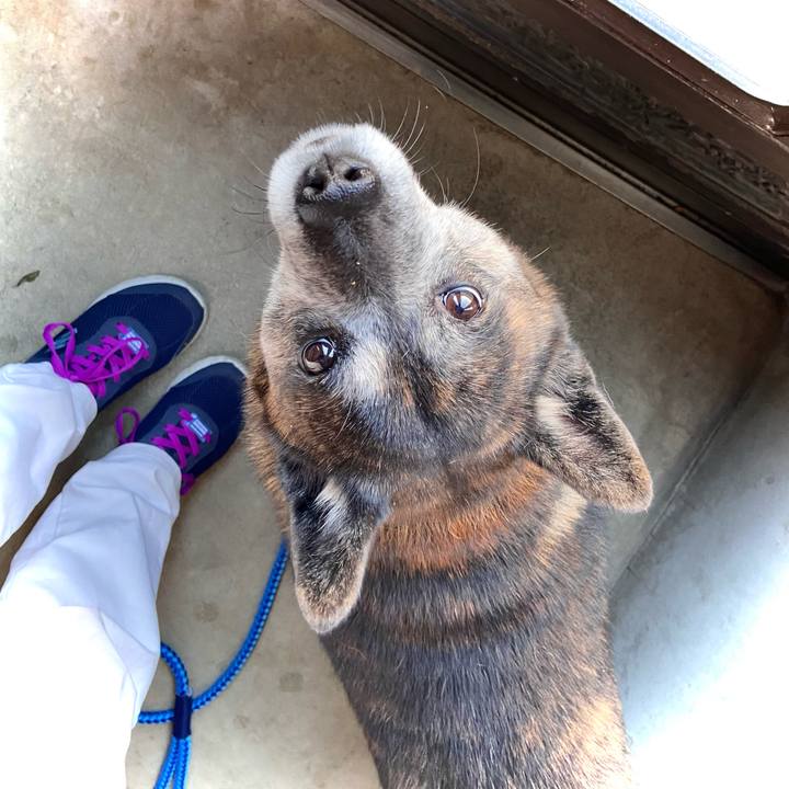 C6bc894c 547b 452a a165 f0caa0d49e64 1667433740164