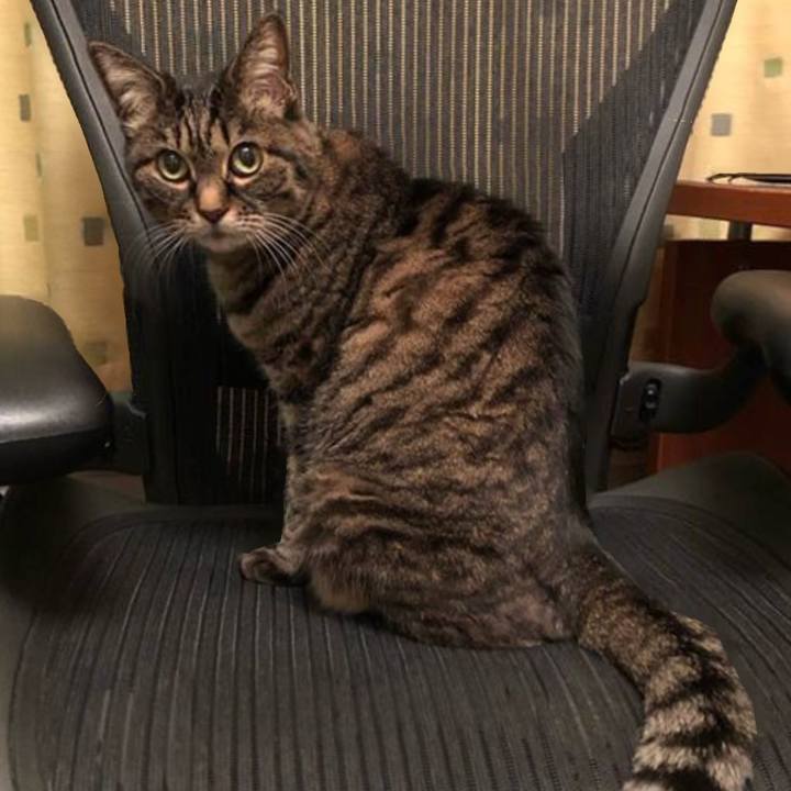 C6bcc7be a112 4426 a206 3caadee309ca 1772365332098