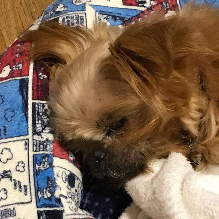 C6bcc828 aede 43ce 83b1 19ff36a56726 1508585479938