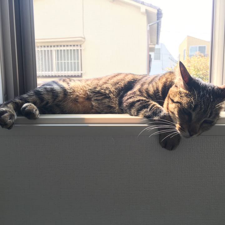 C6bcd454 1d8f 4424 bf06 1ad43eae09fd 1554528827856