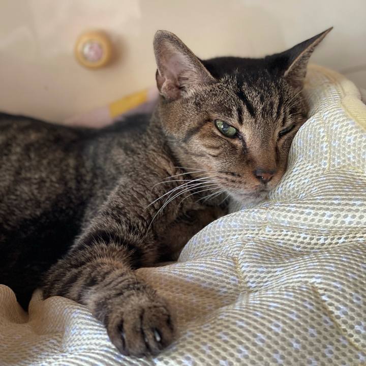 C6bcdc2b fc0b 41ab a2d2 7c44c5e79f51 1631756231387