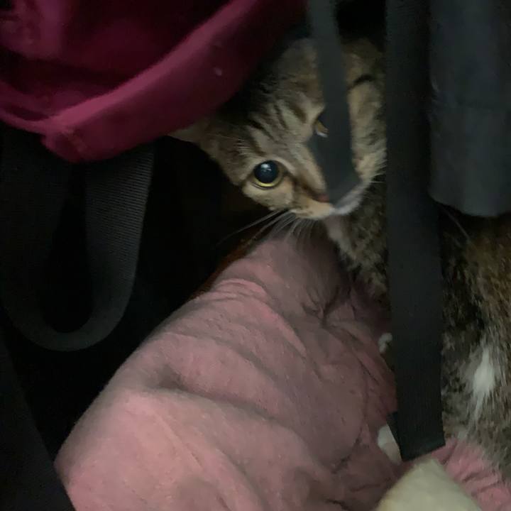 C6bce322 b73a 4257 bbe5 5930d0ec9308 1648340601035