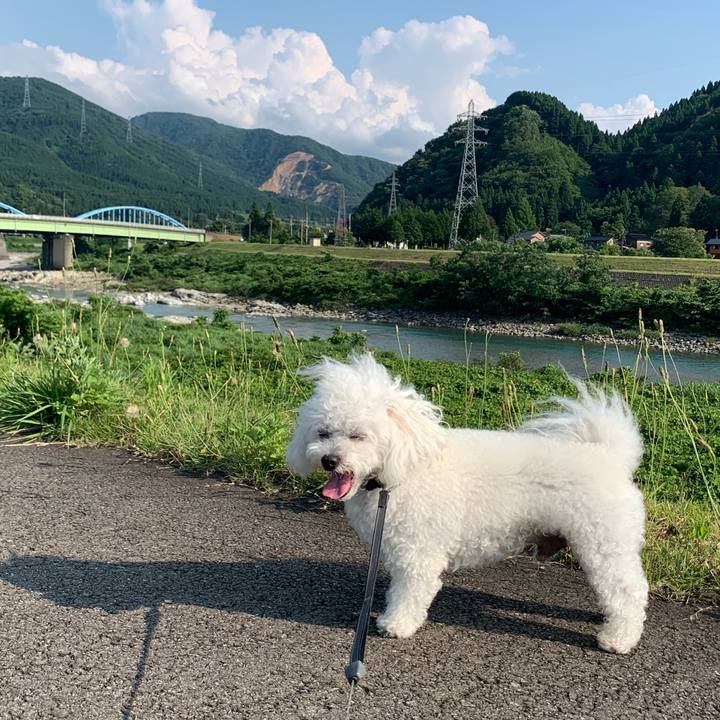 C6bcf30f b3cf 4104 8ec6 aded308fc5a9 1625700255742