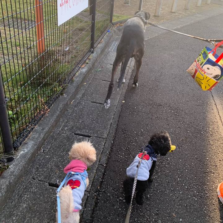 C6bda9a5 4b3a 4e80 b55a 2ff018df58c5 1604209672125