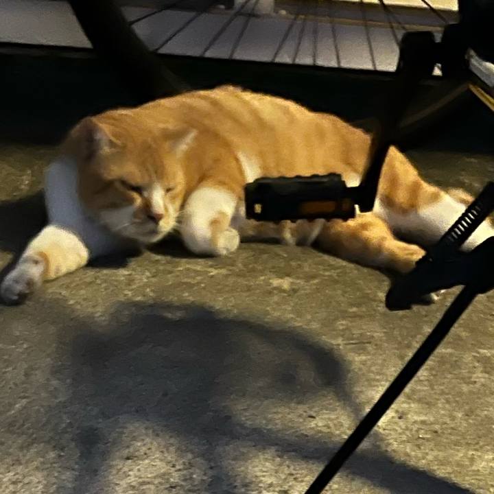 C6bdbbb1 7c97 4e3e ae2d 3bef7805c474 1692619482257