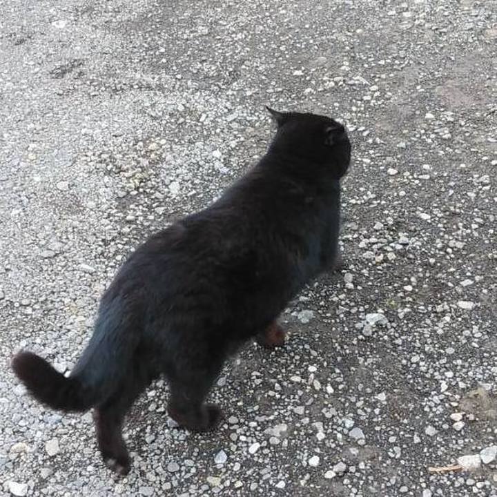 C6bde8c5 288a 4e1c b6e6 e146e63fd9db 1617101126003