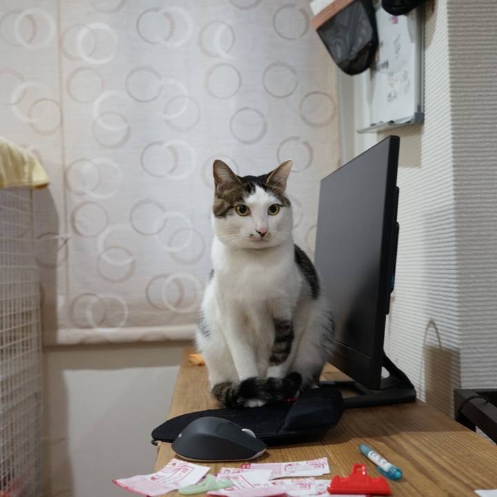 C6bdfc6f f87a 409f aec7 6dff34b7ef8e 1516838503446