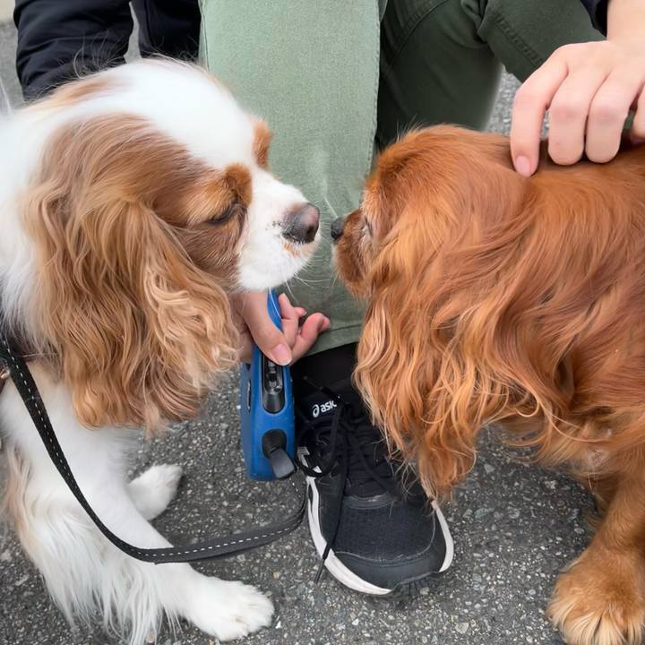 C6be02ba 89b2 4abf bb52 839b6946a982 1710636181423