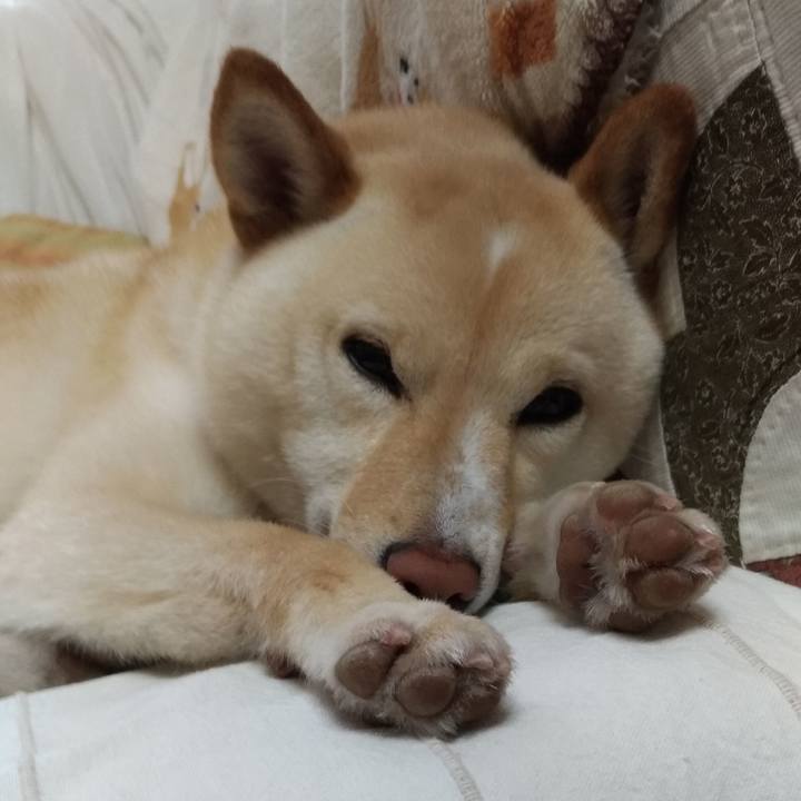 C6be534c 87a4 4680 9693 b9ab9007430d 1559085478430