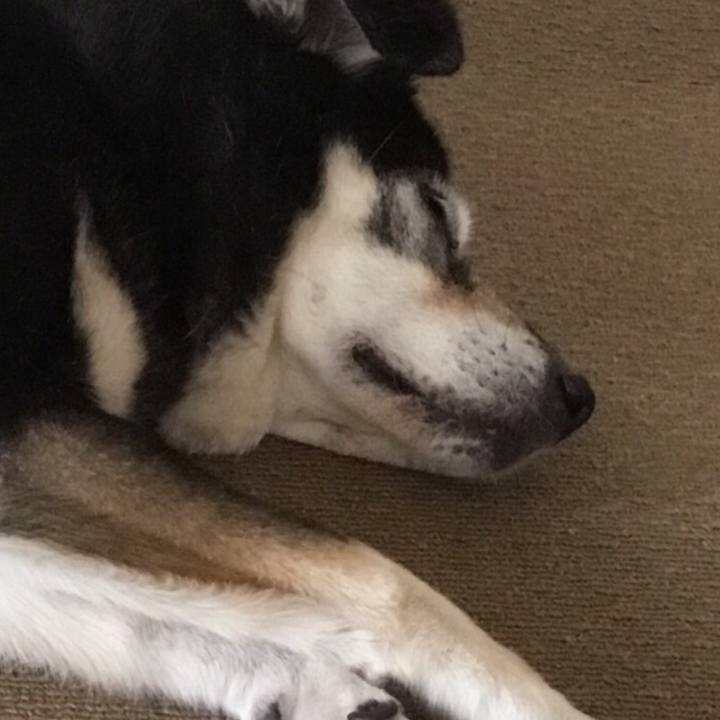 C6be5ad9 6ef5 472d 9006 2f11ac37a1f5 1757762030354