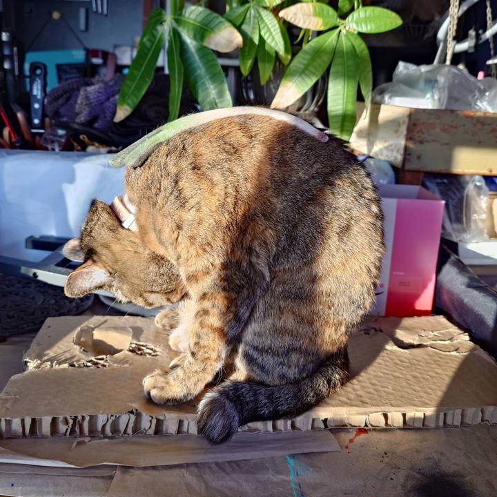 C6be5d1e 2ef8 430a 8be5 092acdfaa6b6 1767259511768