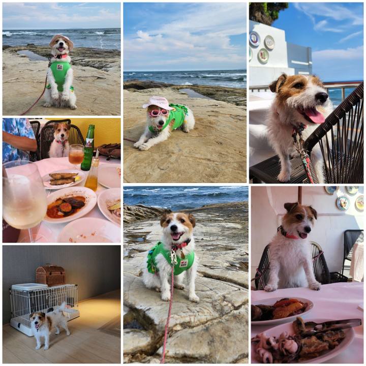 C6be7181 702b 46ab bef7 d5019e4496df 1656804895854