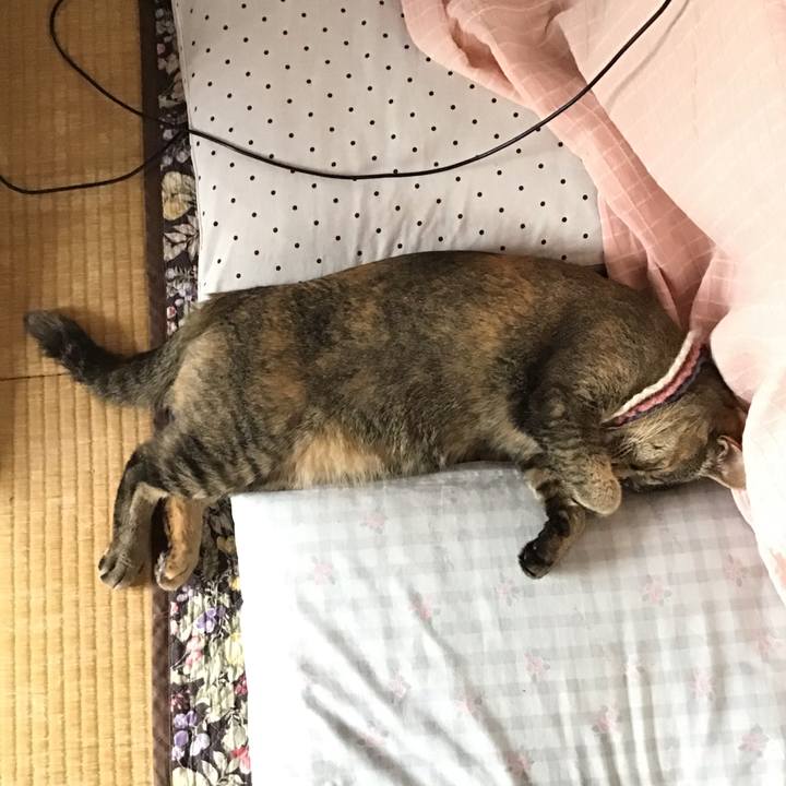 C6be7ca5 5c7a 4b5e 9bf0 548ba4eab4da 1621138488181