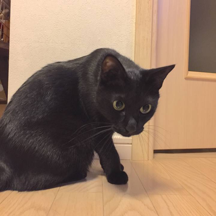 C6be99e1 2023 4d8a a508 5ec2db3b33a6 1508159375666