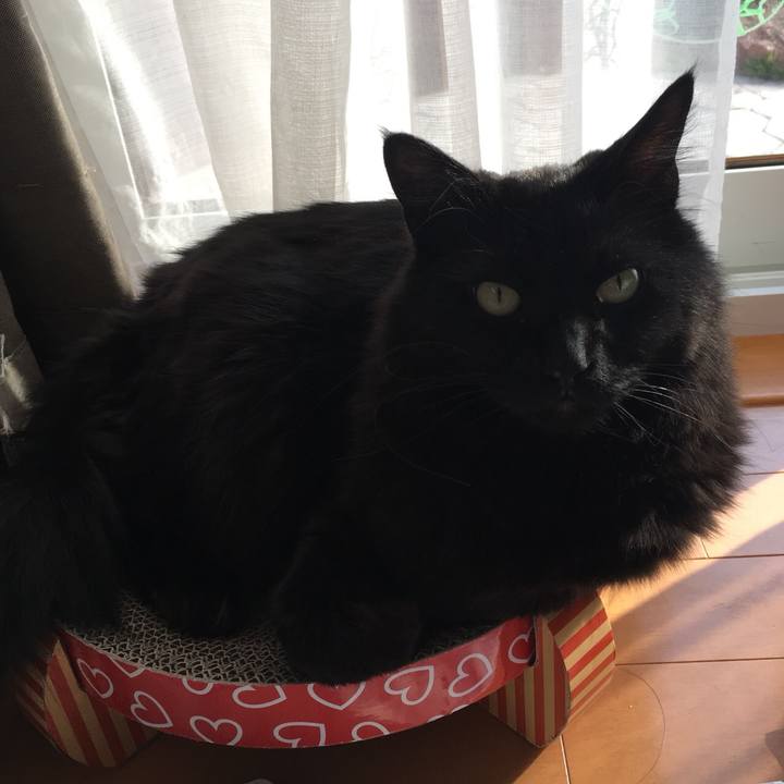 C6bea48b c22b 43b1 8274 a647b788953d 1524215650409