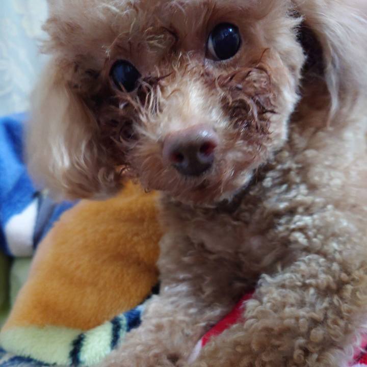 C6bec283 55a7 4c3f a370 4fc1678adf26 1732889505830