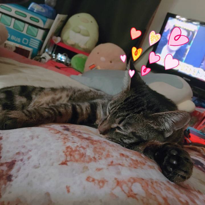 C6becbdd eb17 4358 b62e aeb6096120bd 1549590508176