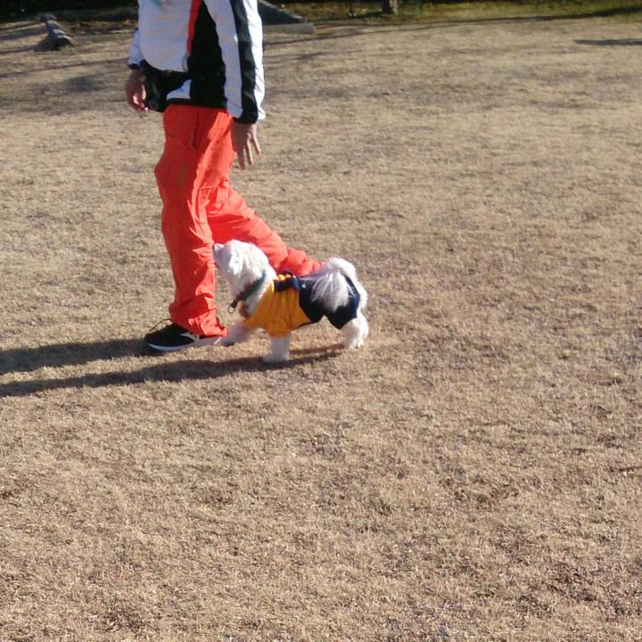 C6bf18a2 2347 4057 bdc4 b0bdefd66b73 1518347378288