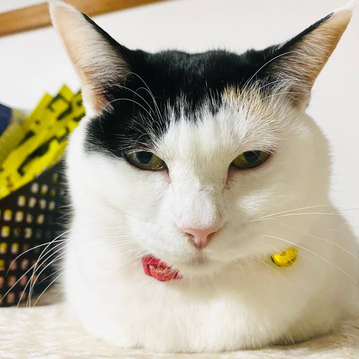 C6bf1c97 2221 4926 ac21 96e0f6b93b5c 1763348331656