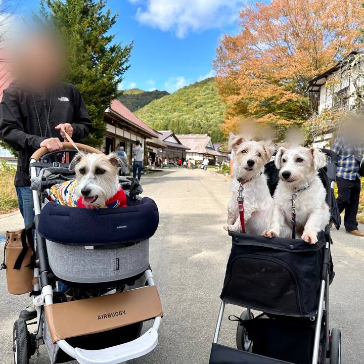 C6bf465b 29d6 418f 9f38 e5879e3b9973 1697467151596