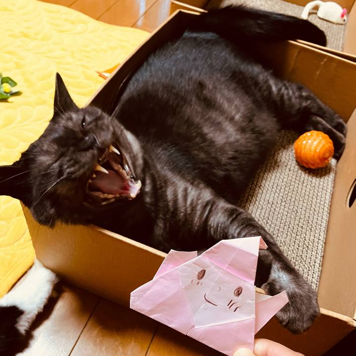 C6bf5343 4bbb 4613 a79e 03cdfb840700 1734946506197