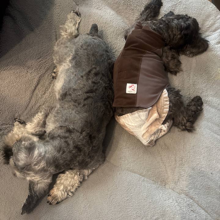 C6bfdcea b3b7 40ee 8bd9 c7dc0d489544 1742692550729