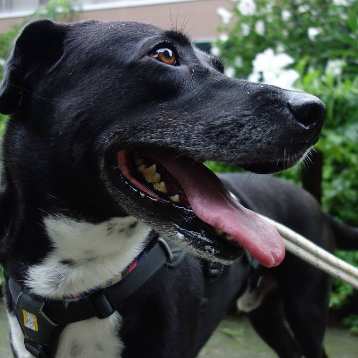 C6c02562 4ac4 434d 8d36 a9eba76a70f6 1658017833290