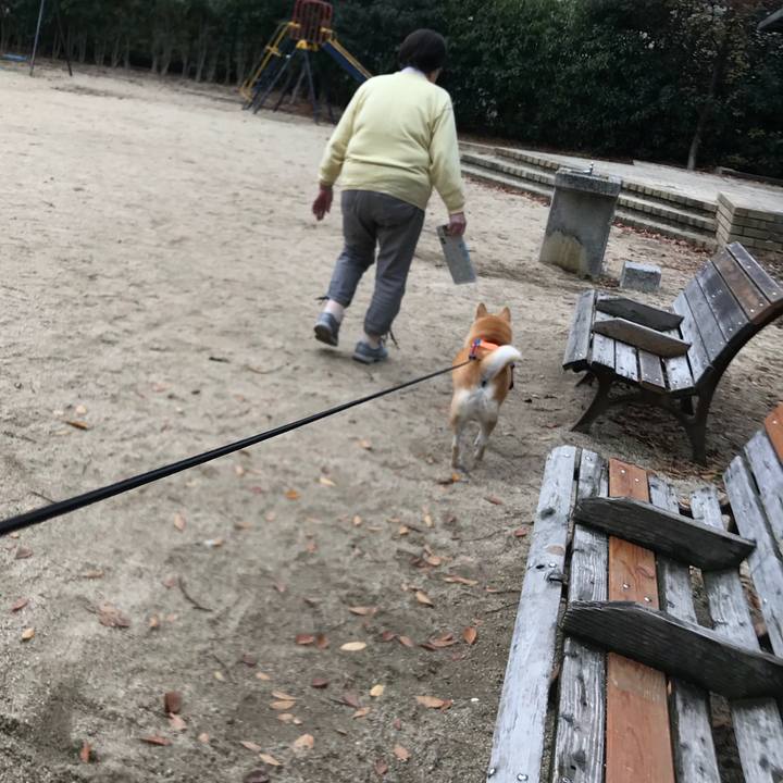 C6c046d0 e284 4921 9fb1 f3038ebe33cc 1512032745134