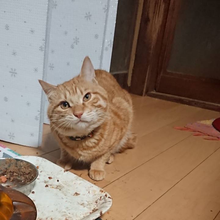 C6c05d0a b1da 445c 8d6a 55d71250bbd5 1646686718984