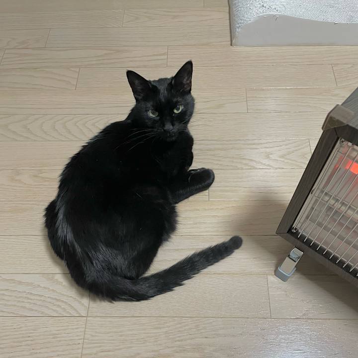 C6c08223 ade6 4dd3 98b4 b51c295c3089 1676883290548